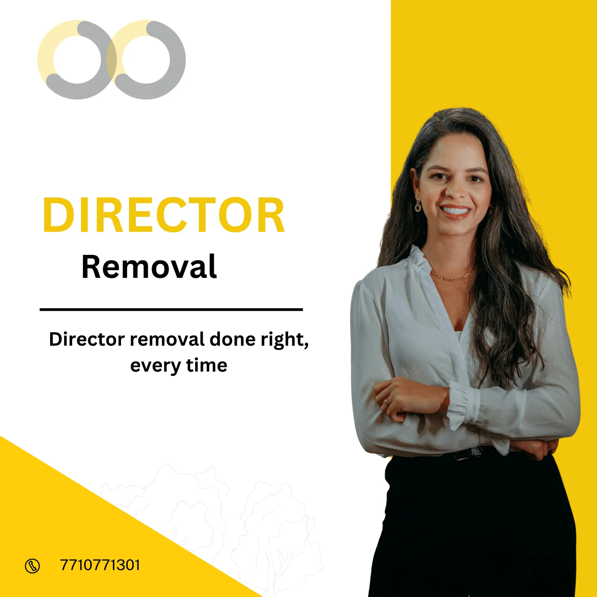 Director Removal
